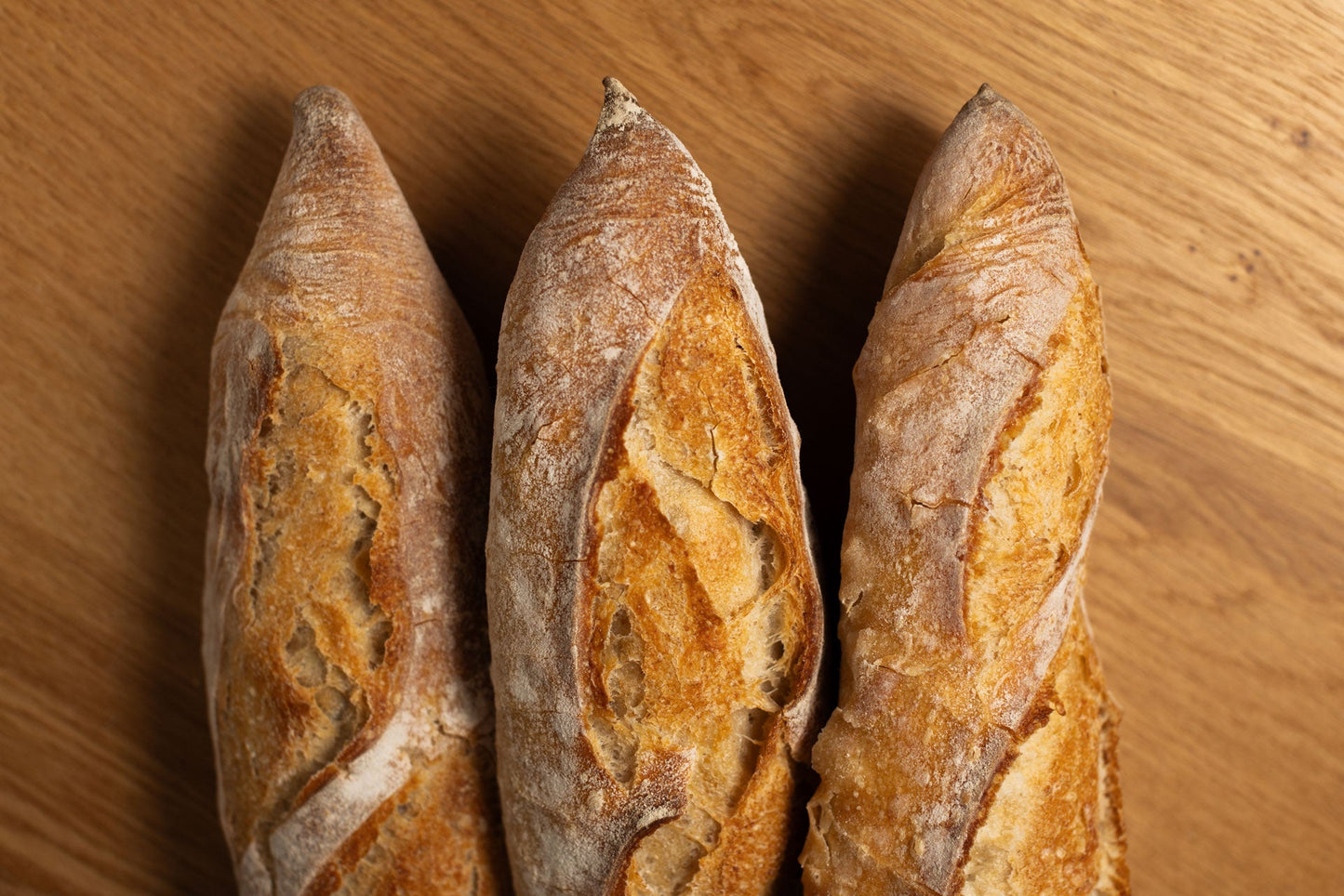 Baguette-Tradition - libreria-william-crocodile - 2026-06-05