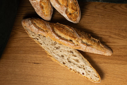 Baguette-Tradition - libreria-william-crocodile - 2026-06-05