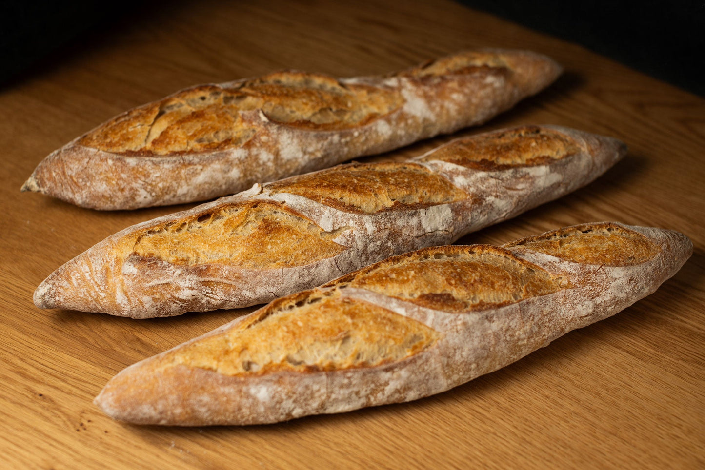 Baguette-Tradition - libreria-william-crocodile - 2026-06-05