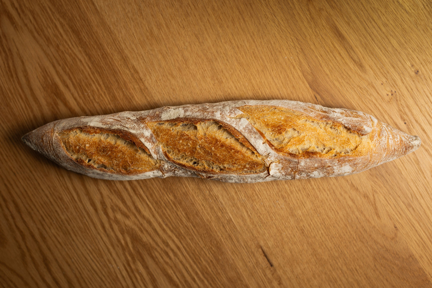 Baguette-Tradition - libreria-william-crocodile - 2026-06-05