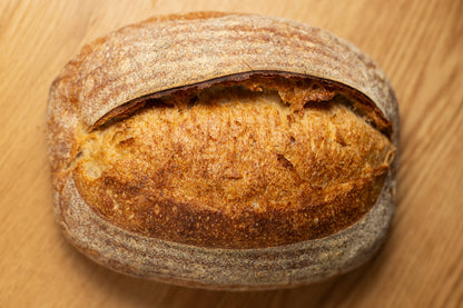 Pain-De-Campagne - b1919 - 2026-06-24